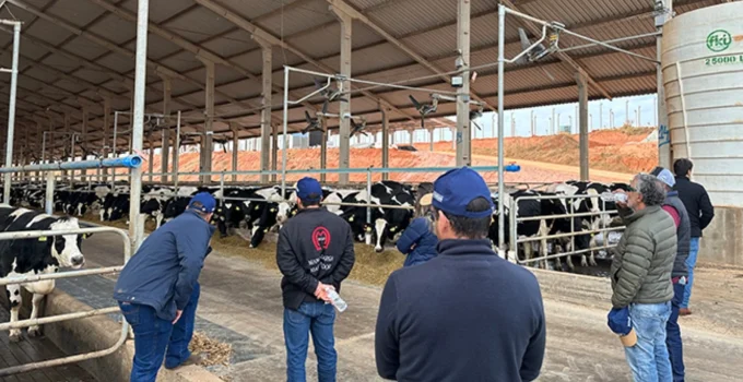 Produção de Leite no Sul de Minas Rompe Recordes com Tecnologia e Genética Avançada