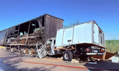 Tragédia em MG: Pai e filho morrem em colisão com carreta em chamas na MG-428