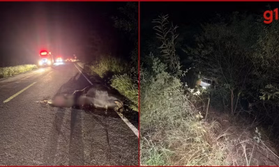 Carro despenca em ribanceira de 20 metros após colisão com animal na MGC-342, em Araçuaí; duas pessoas ficam feridas