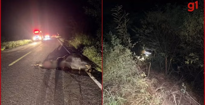 Carro despenca em ribanceira de 20 metros após colisão com animal na MGC-342, em Araçuaí; duas pessoas ficam feridas