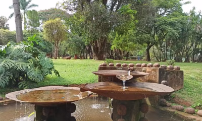 Corpo Decapitado Encontrado em Parque de BH Levanta Suspeitas de Crime Brutal na Capital Mineira