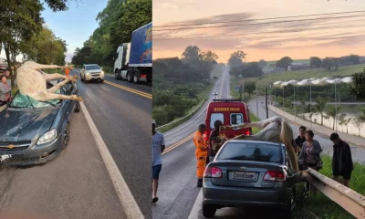 Cavalo morre em cima do capô após ser atropelado em rodovia de Minas Gerais