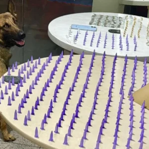 Operação Policial em BH: Homem é Preso com Centenas de Porções de Cocaína na "Boca dos Pitbulls"
