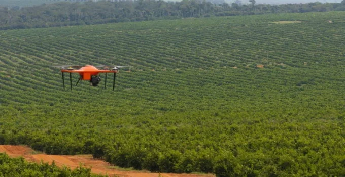Produção de Laranja em Minas e São Paulo Deve Cair 12,9% na Próxima Safra, Alertando Produtores