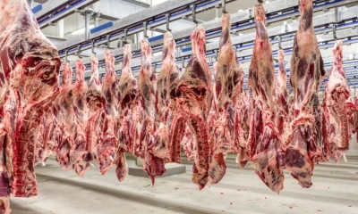 Governo Lula se diz surpreso com veto da UE à carne brasileira e promete reverter decisão