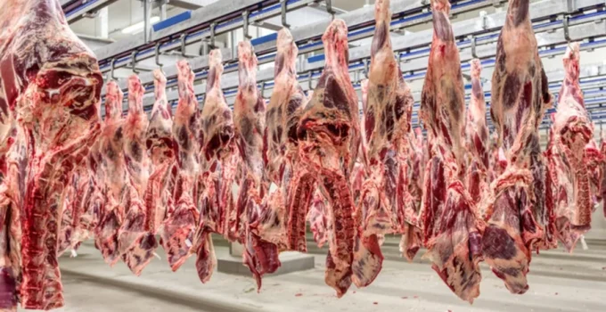 Governo Lula se diz surpreso com veto da UE à carne brasileira e promete reverter decisão