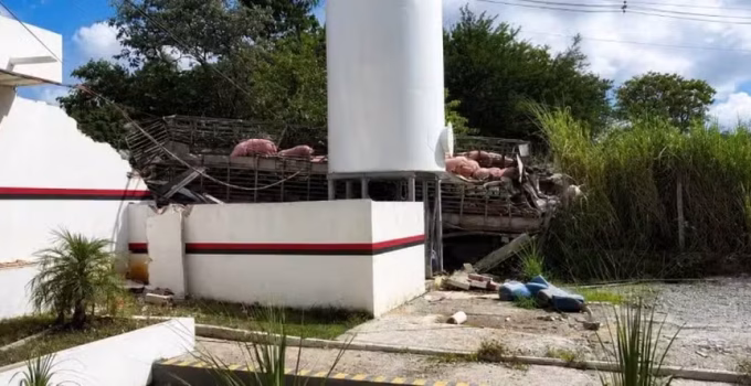 Tragédia em Minas: Caminhão de porcos tomba sobre frigorífico e mata grávida em São José da Lapa