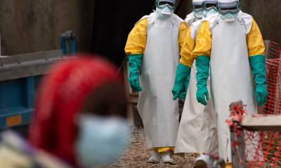OMS declara surto de ebola em Congo e Uganda como emergência internacional e alerta para riscos