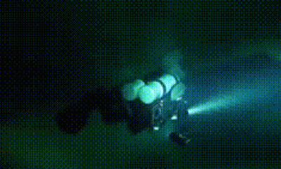 Vídeo Revela Interior da 'Caverna dos Tubarões' Onde Cinco Italianos Morreram em Mergulho nas Maldivas
