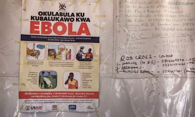 Ebola: Nova Variante na República Democrática do Congo Acende Alerta; Entenda a Doença em 7 Pontos Cruciais