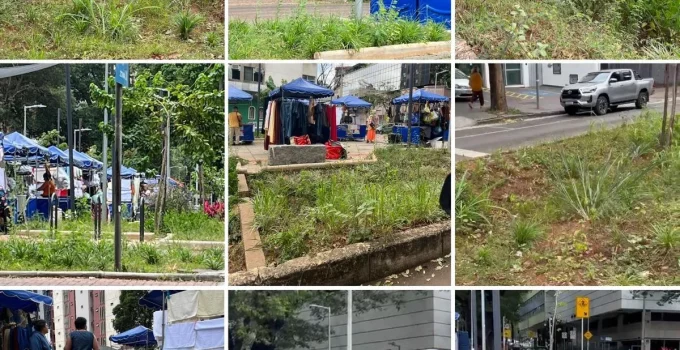 Avenida Bernardo Monteiro, revitalizada com R$ 2,4 milhões, sofre com abandono e falta de manutenção em BH