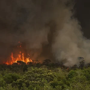 El Niño Forte em Minas Gerais: Estado em Alerta para Ondas de Calor e Chuvas Intensas