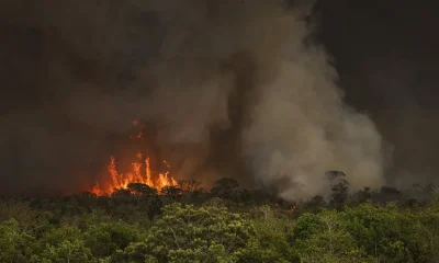 El Niño Forte em Minas Gerais: Estado em Alerta para Ondas de Calor e Chuvas Intensas