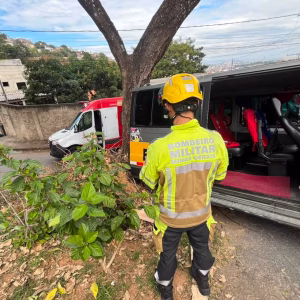 Van escolar bate em árvore em Venda Nova e deixa 14 feridos em Belo Horizonte