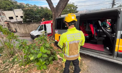 Van escolar bate em árvore em Venda Nova e deixa 14 feridos em Belo Horizonte