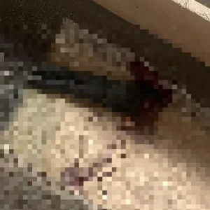 Homem é Resgatado em Situação de Risco após Cair no Rio Arrudas, Região Noroeste de BH