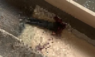 Homem é Resgatado em Situação de Risco após Cair no Rio Arrudas, Região Noroeste de BH