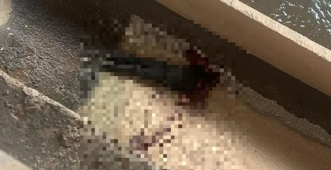 Homem é Resgatado em Situação de Risco após Cair no Rio Arrudas, Região Noroeste de BH