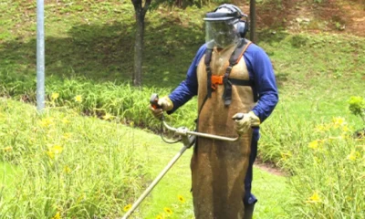MGS abre centenas de vagas temporárias em Minas Gerais; veja cargos e como se candidatar