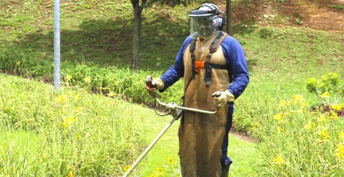 MGS abre centenas de vagas temporárias em Minas Gerais; veja cargos e como se candidatar