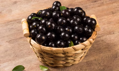 1º Festival da Jabuticaba de Santa Tereza agita BH com gastronomia e cultura neste fim de semana