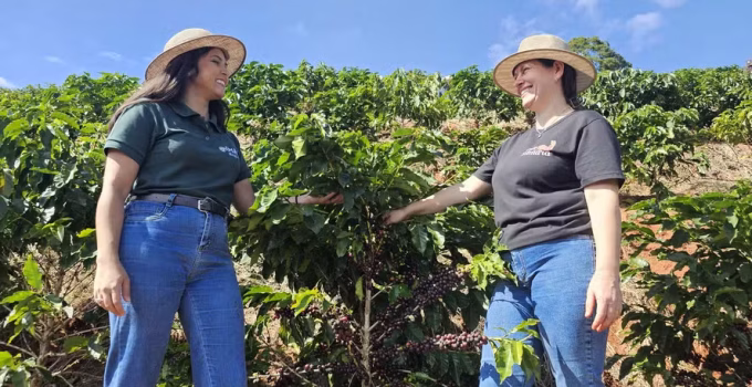 Café Especial: Minas Gerais Transforma Grãos em Renda e Turismo Rural