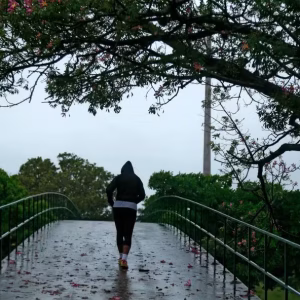 Alerta de Frio Intenso em Minas Gerais: Geada e Temperaturas Próximas de 0°C Chegam ao Estado
