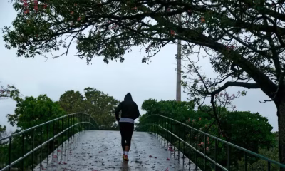 Alerta de Frio Intenso em Minas Gerais: Geada e Temperaturas Próximas de 0°C Chegam ao Estado