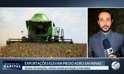 Exportações de Agronegócio Mineiro Superam Barreiras e Impulsionam PIB Estadual