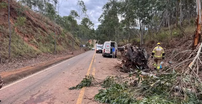 Motorista de 30 anos em estado grave após carro bater em árvore e capotar em rodovia de Minas