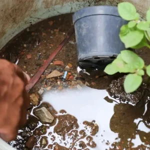 Vale do Aço chega a cinco mortes por dengue em 2026 com novos óbitos em Belo Oriente e Bom Jesus do Galho
