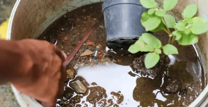 Vale do Aço chega a cinco mortes por dengue em 2026 com novos óbitos em Belo Oriente e Bom Jesus do Galho