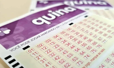 Quina 6893: Resultado divulgado nesta quarta-feira (3) com prêmio estimado em R$ 4 milhões