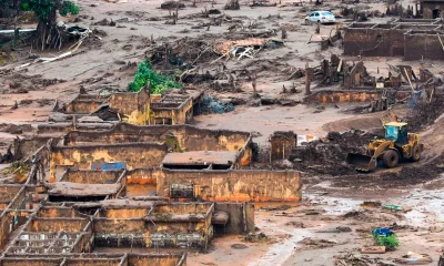 Desastre em Mariana: Deformações recordes em peixes no litoral capixaba levantam suspeitas sobre contaminação mineira