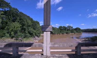 Ponte Perdida: O Guardião Místico que Vigia a Natureza e Resguarda a História do Vale do Aço