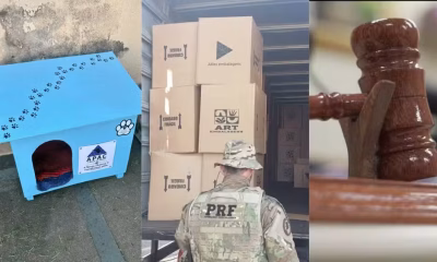 Minas Gerais em Destaque: Detentos Criam Abrigos para Animais, Caminhoneiro Foge da PRF e Drogaria é Multada