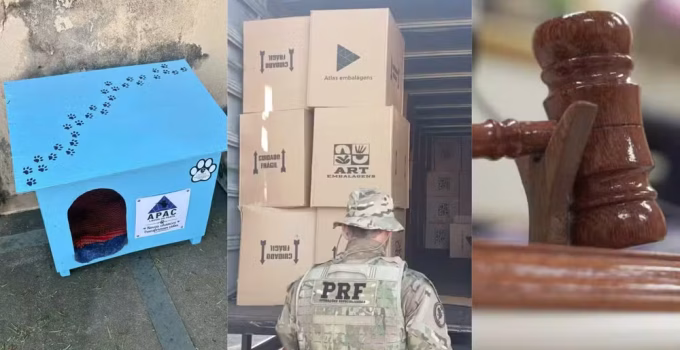 Minas Gerais em Destaque: Detentos Criam Abrigos para Animais, Caminhoneiro Foge da PRF e Drogaria é Multada