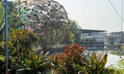 Incêndio em boate de Goa, na Índia, mata ao menos 25 pessoas; autoridades apontam falhas graves de segurança