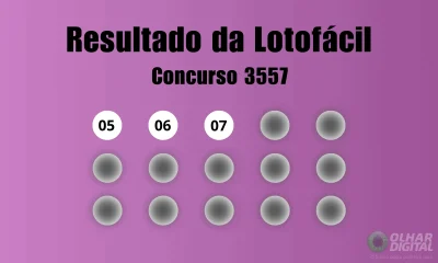 Lotofácil Concurso 3557: Três Apostas Levam Prêmio Milionário; Entenda o Impacto no Mercado de Apostas