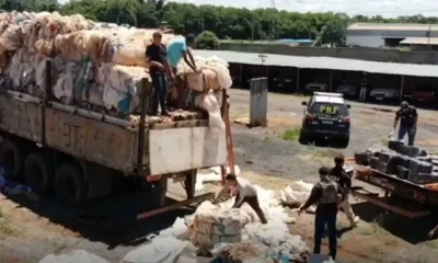 Mega apreensão de maconha na BR-262: Polícia Rodoviária Federal flagra 1,3 tonelada da droga em Bom Despacho