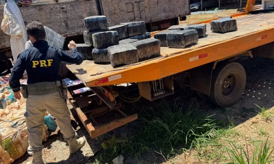 Tonelada de maconha destinada a Belo Horizonte é apreendida em operação integrada na BR-262