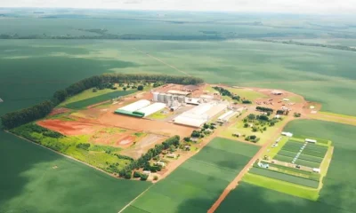 Patria Investimentos expande atuação em Minas com compra da Auma Sementes