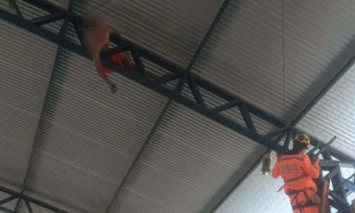 Jovem de 23 anos fica preso em teto de ginásio em Alfenas, no Sul de Minas, e precisa ser resgatado pelos Bombeiros