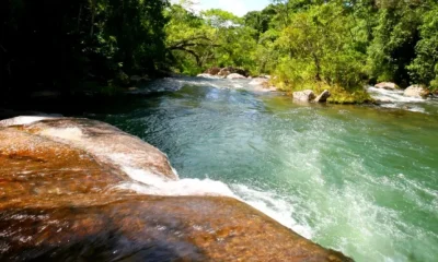 Tragédia em Passa Quatro: Pai que não sabia nadar morre ao tentar salvar filha em cachoeira