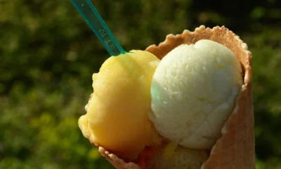 Sorveteria Universal: o refúgio gelado mais antigo de BH completa quase um século de tradição e sabor