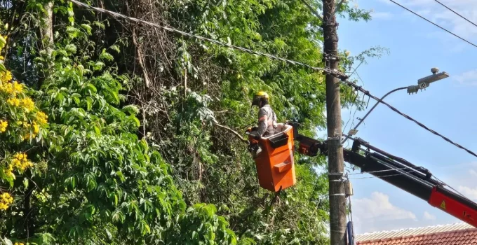 Cemig e PBH Poda Mais de 50 Árvores na Pampulha para Evitar Apagões em BH Durante Chuvas de Verão
