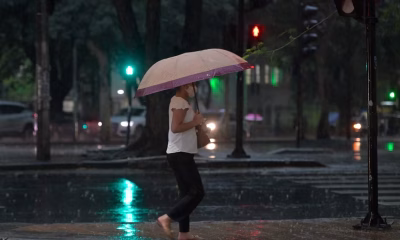 Chuva forte causa transtornos em BH: queda de árvores e alagamentos assustam moradores