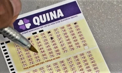 Quina 6916: Seis Apostas de Minas Gerais Levam Mais de R$ 14 Mil Cada