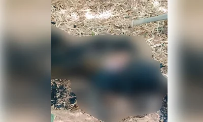 Corpo carbonizado é encontrado em área rural na divisa entre Timóteo e Jaguaraçu, Vale do Aço