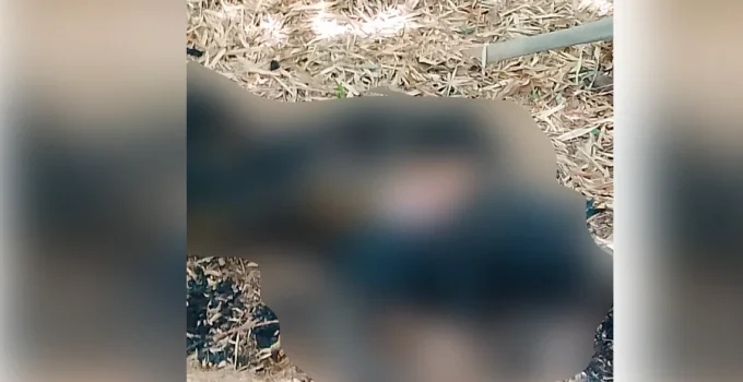 Corpo carbonizado é encontrado em área rural na divisa entre Timóteo e Jaguaraçu, Vale do Aço